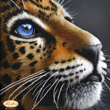 Bead Art Kit - Leopard (Devotion)