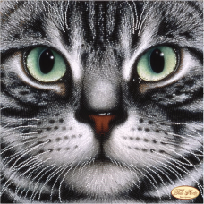 Bead Art Kit - Cat Basalt Bead Art Kit - Cat Basalt