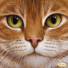 Bead Art Kit - Cat ‘Redhead’