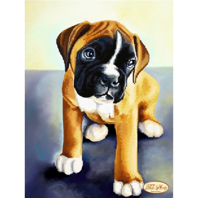 Bead Art Kit - Boxer Puppy