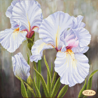Bead Art Kit - White Iris