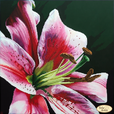 Bead Art Kit - Royal Lily