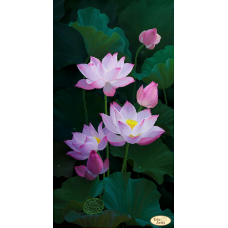 Bead Art Kit - Blooming Lovely Bead Art Kit - Blooming Lovely
