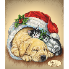 Bead Art Kit - Christmas Night's Dream Bead Art Kit - Christmas Night's Dream